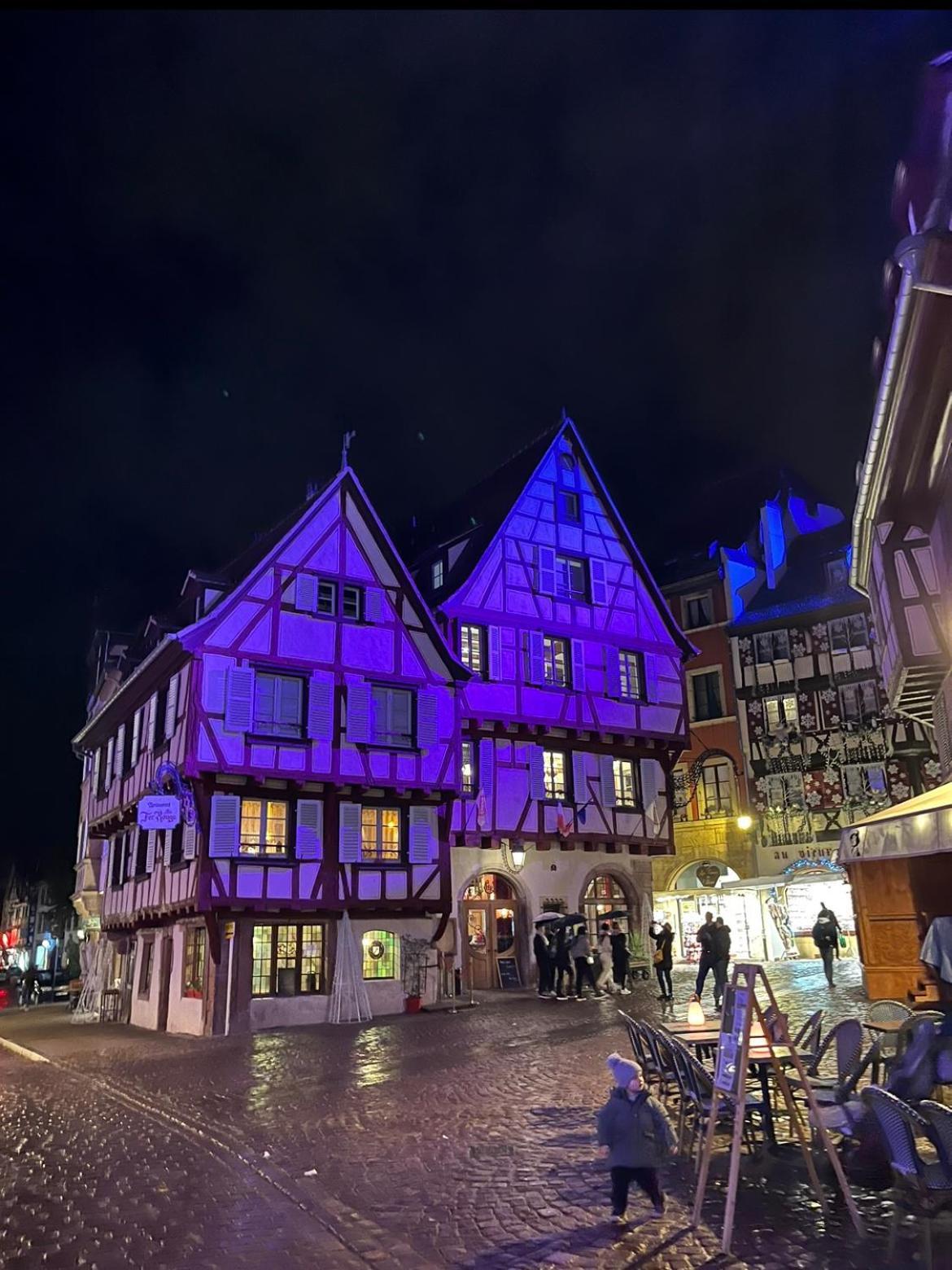Le Venise, Parking Prive, Neuf & Spacieux Colmar Esterno foto